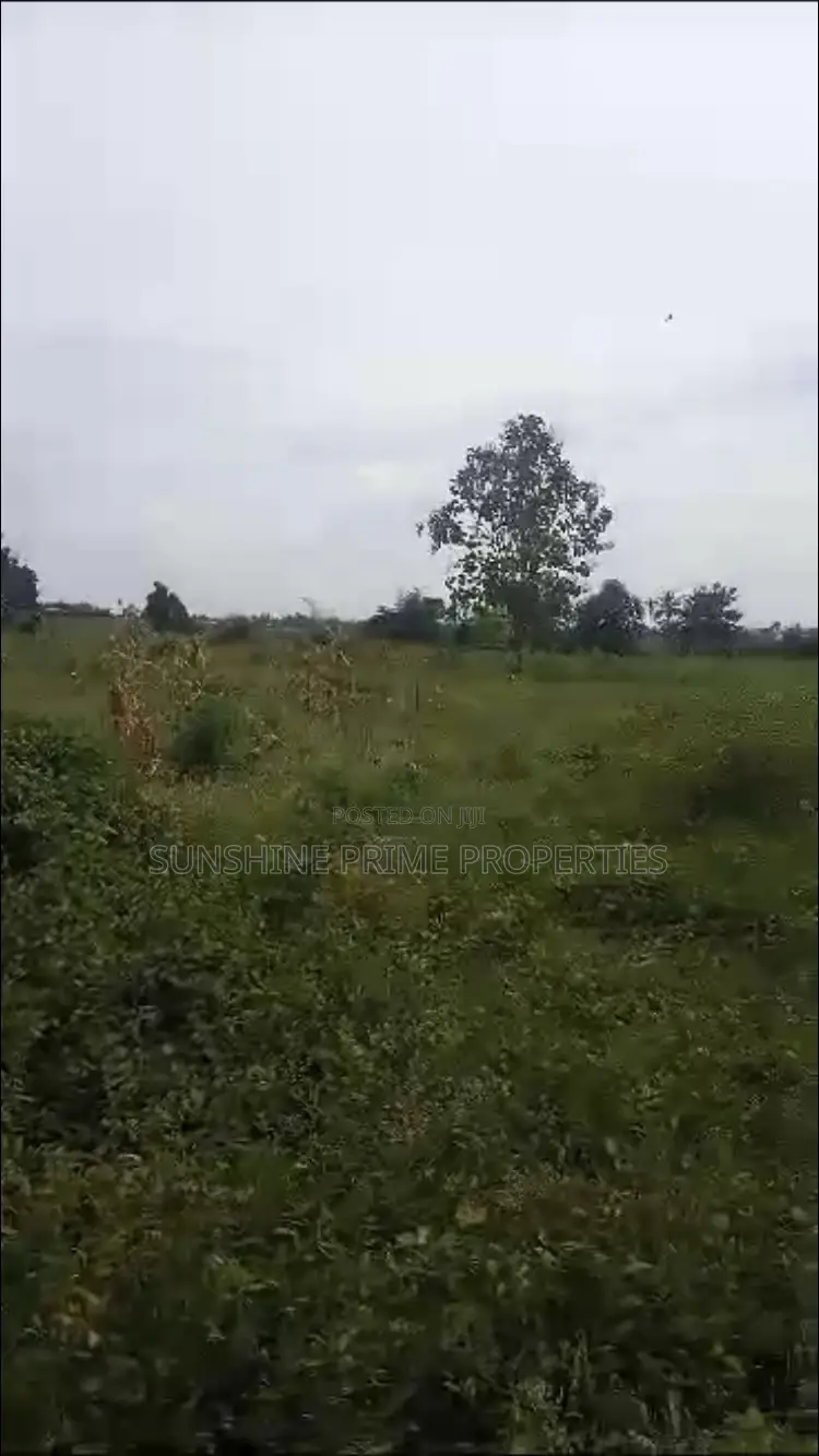Grandview Estate Araromi Oba Ile in Akure