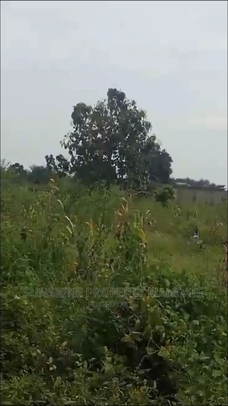 Grandview Estate Araromi Oba Ile in Akure