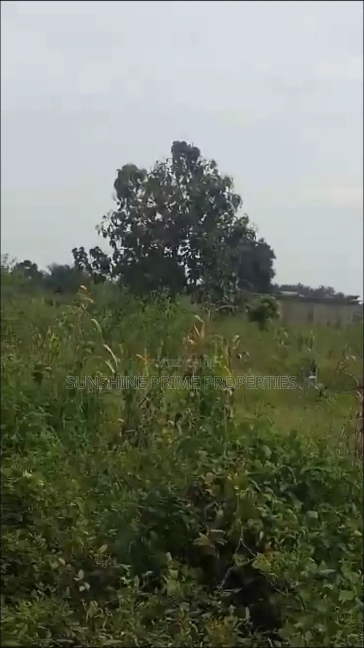 Grandview Estate Araromi Oba Ile in Akure