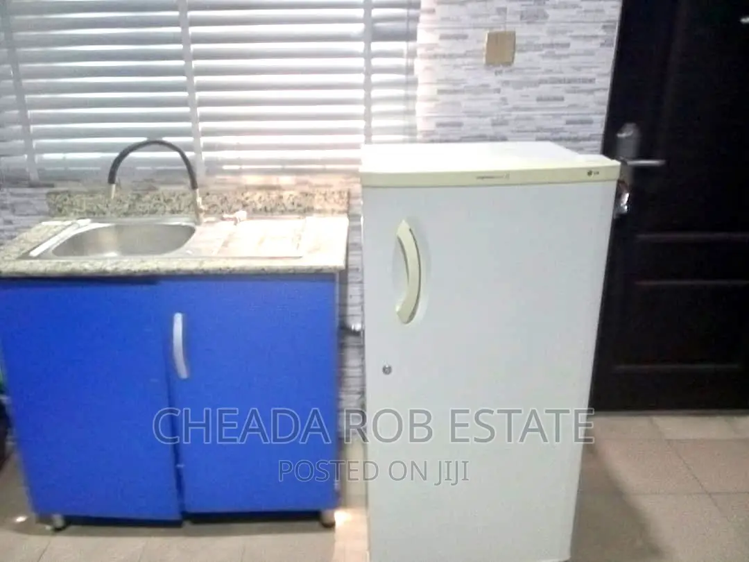 Special Luxury 2bedroom Shortlet With 24hrs Light in Stadium in Aba Expressway