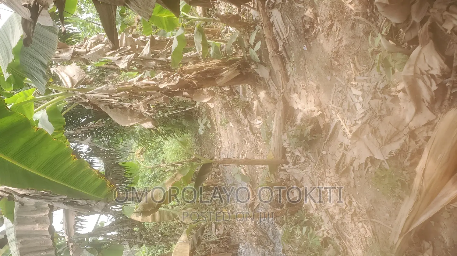 2 Plots of Land for Sale at Idanyin. Close to OPIC Estate in Agbara-Igbesan