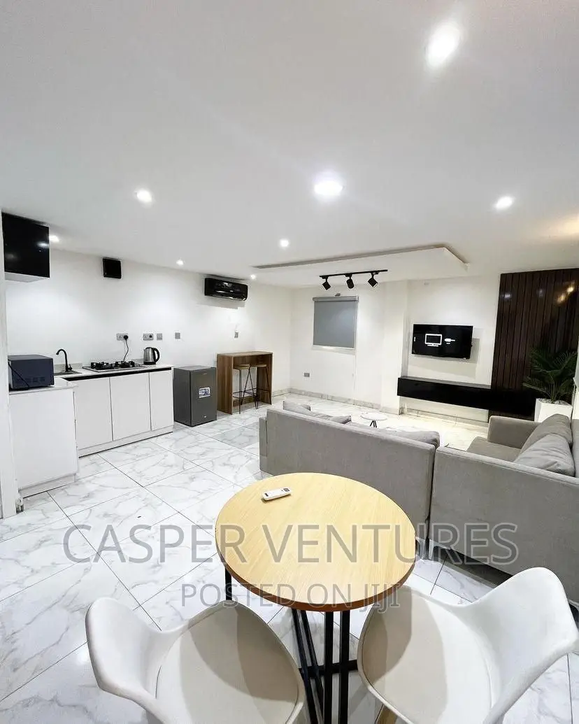 Furnished Mini Flat in Lekki Right for rent in Lekki Phase 1