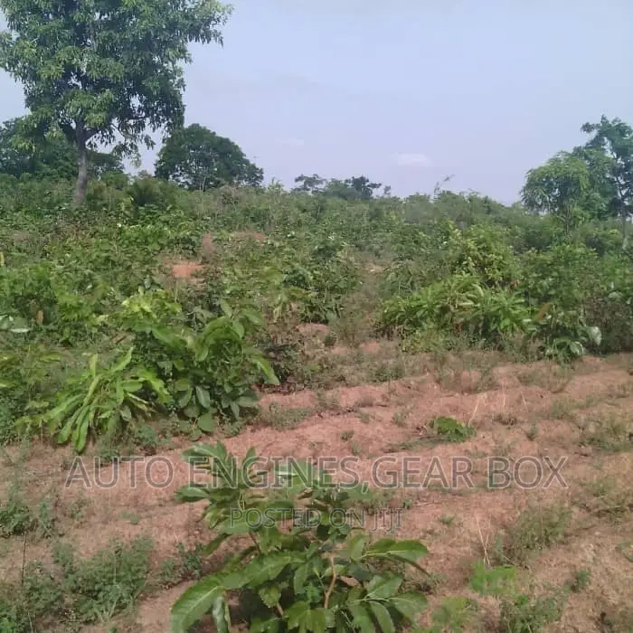 Land for Sale in Agbowa