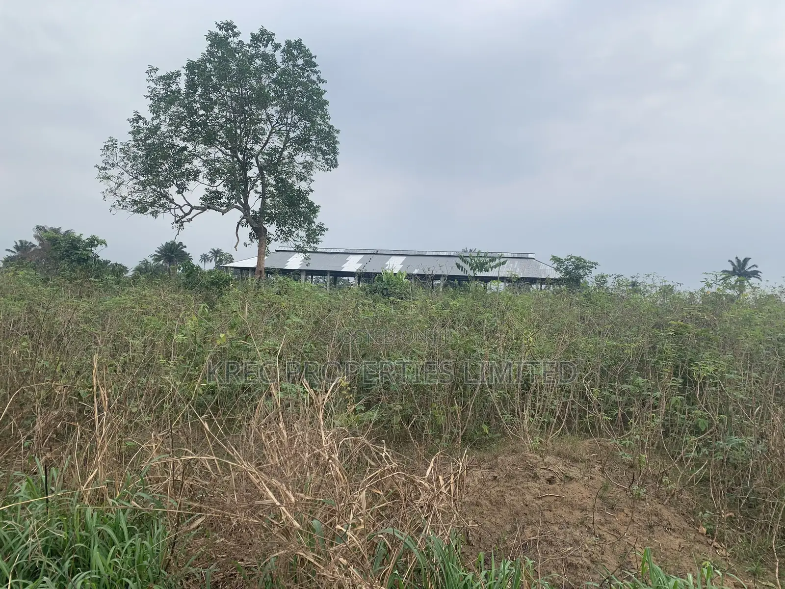 50plots at Ph Int’L Airport in Port-Harcourt