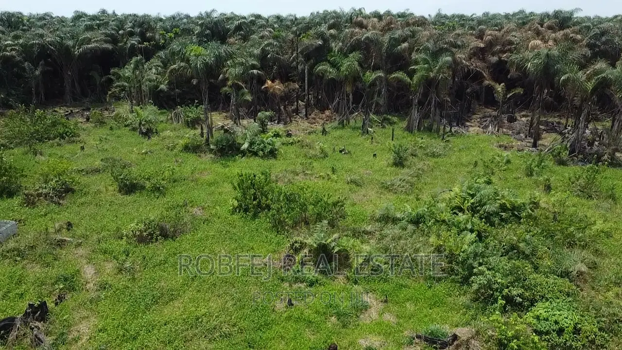 Excellent Diversification Opportunity for Smart Investment in Aiyeteju