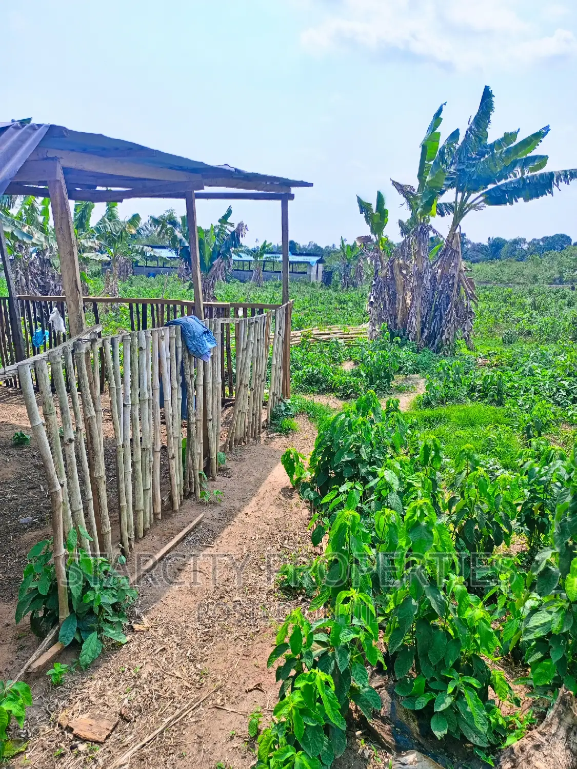 Cheap Farmland for Sale in Imota Ikorodu Lagos State in Ikorodu