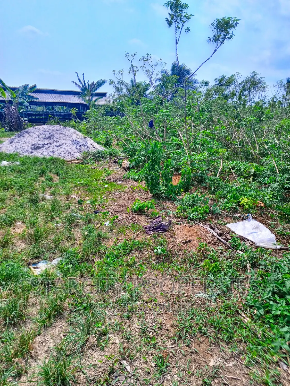 Cheap Farmland for Sale in Imota Ikorodu Lagos State in Ikorodu