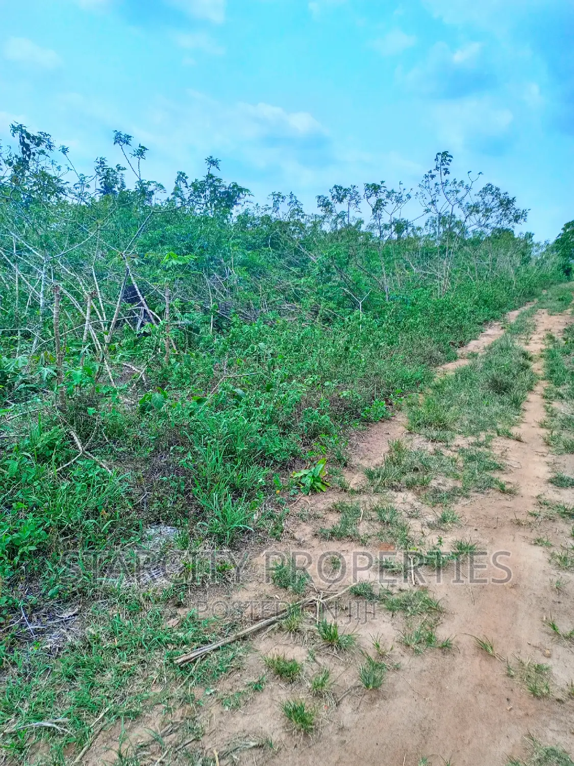 Cheap Farmland for Sale in Imota Ikorodu Lagos State in Ikorodu