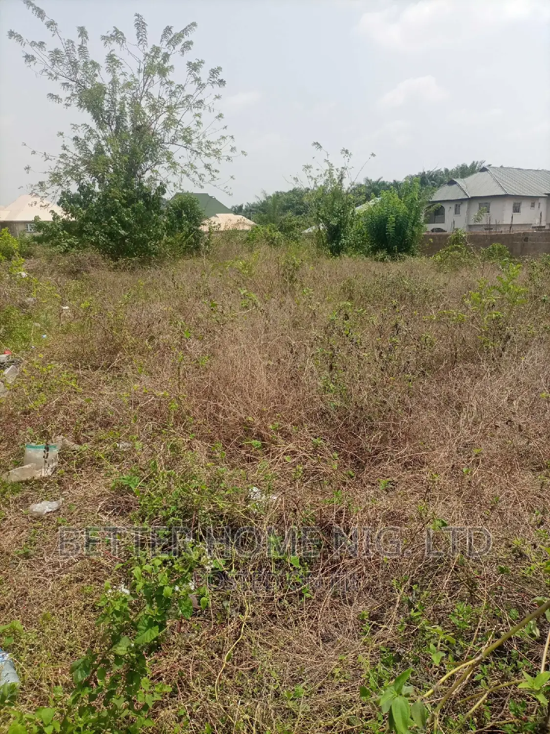 Plot of Land in Oluyole