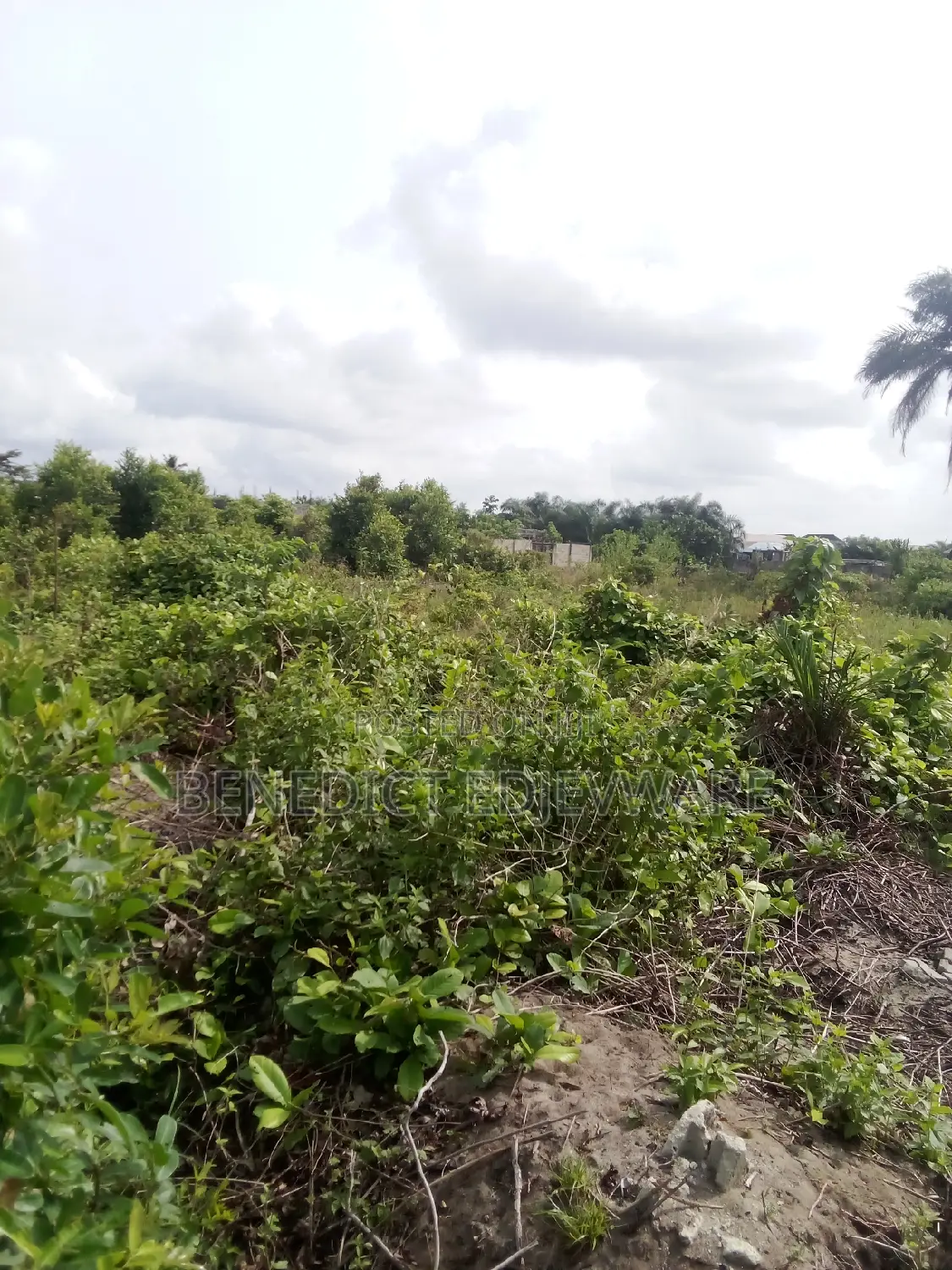 Family Reciept Deed of Agreement and Register Survey Plan in Awoyaya