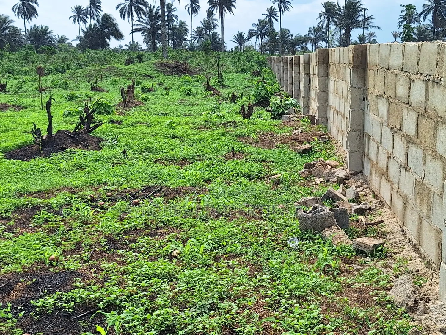 For Sale: 40 Plots Directly on Airport Road, Port Harcourt in Ikwerre