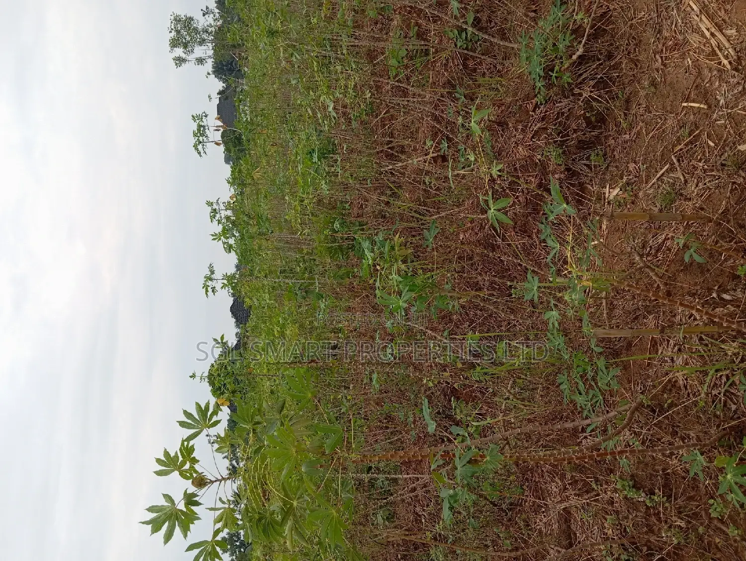 One and Half Plots for Sale at Back of City Land in Awka