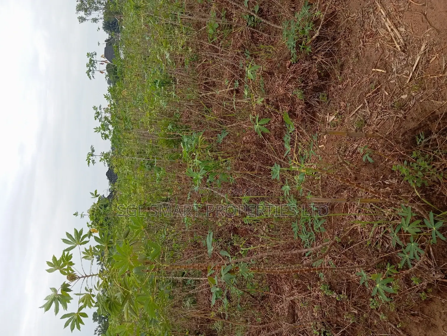 One and Half Plots for Sale at Back of City Land in Awka