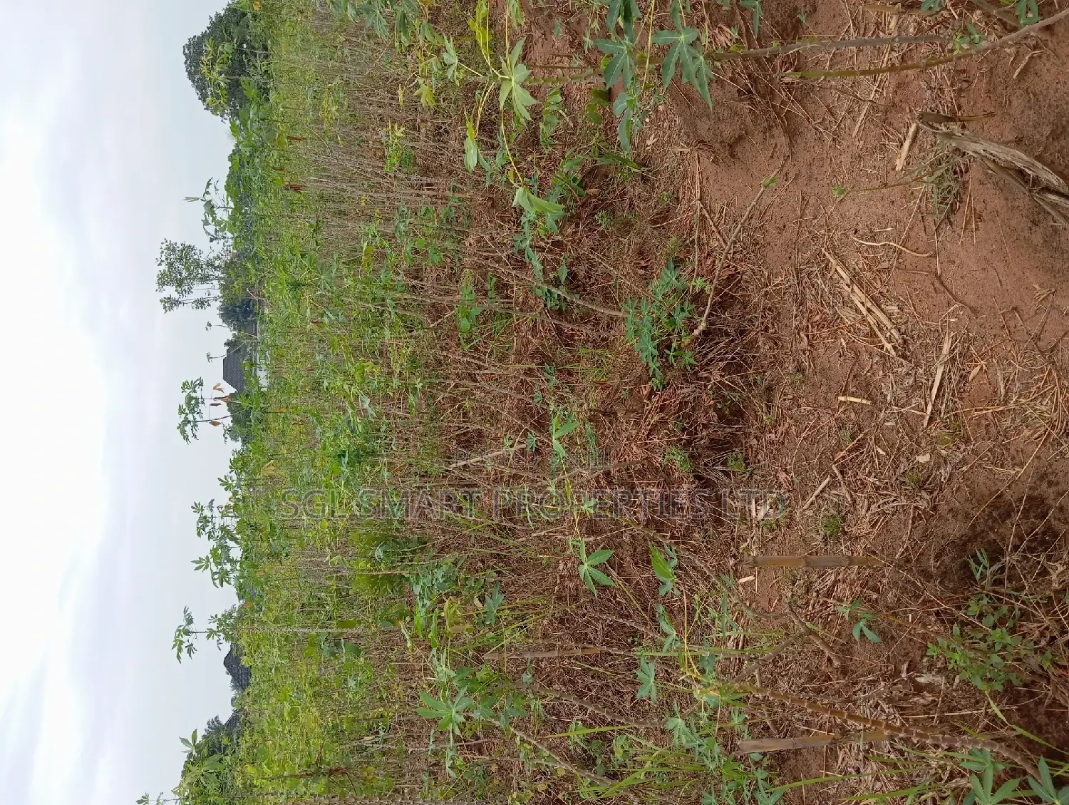 One and Half Plots for Sale at Back of City Land in Awka