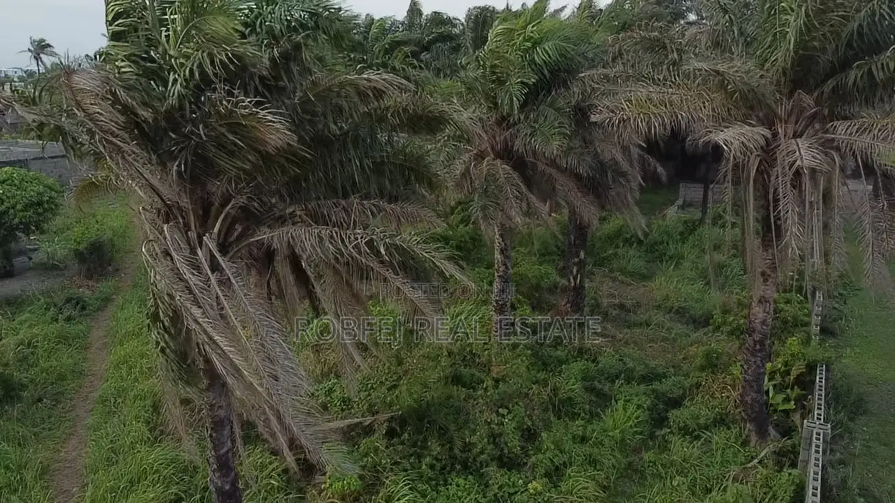 Don't Miss This Opportunity to Own Your Own Ocean View Parad in Eleko