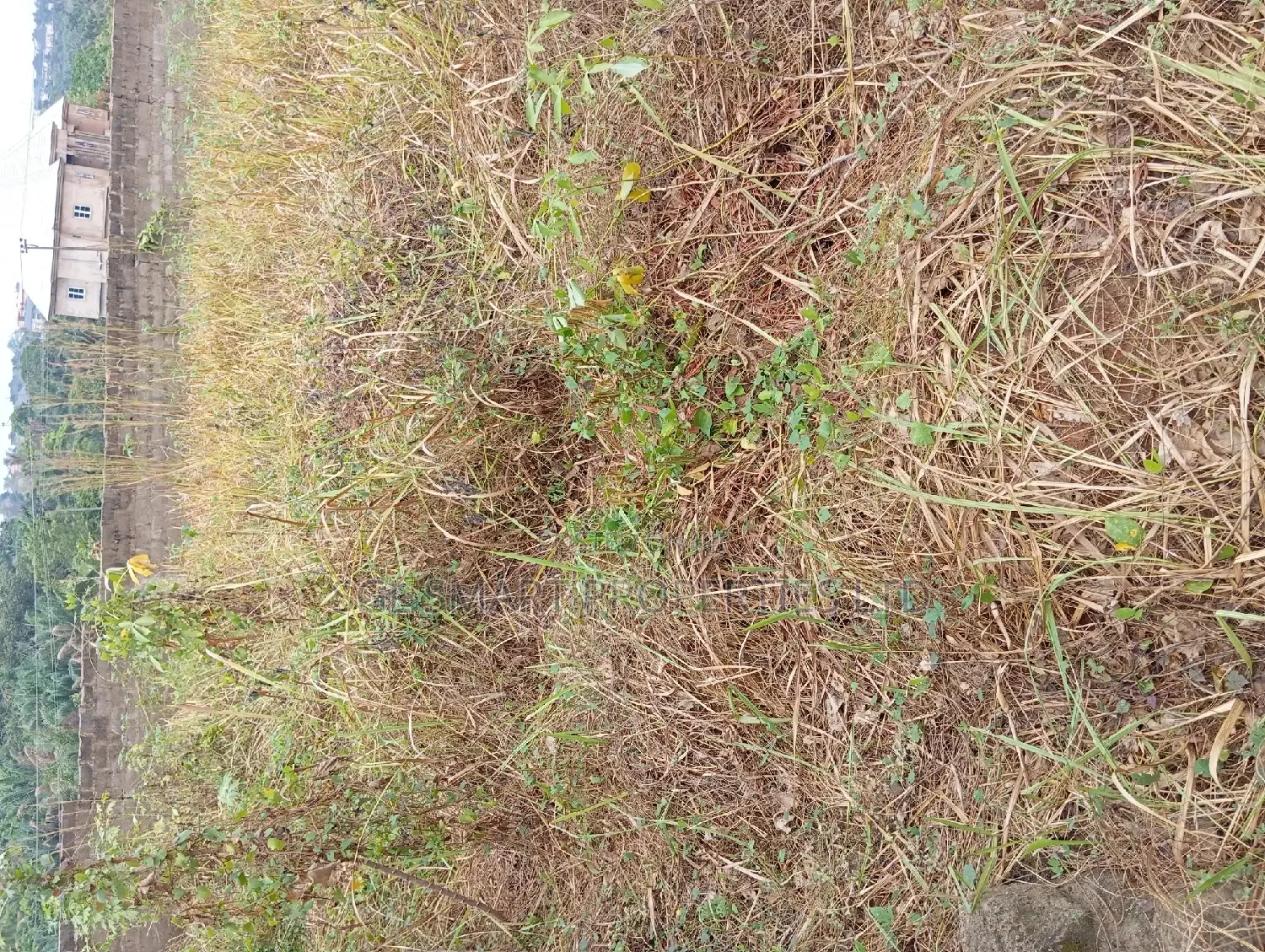 1 Plot of Land at Back of City Land Mark Hotel in Awka