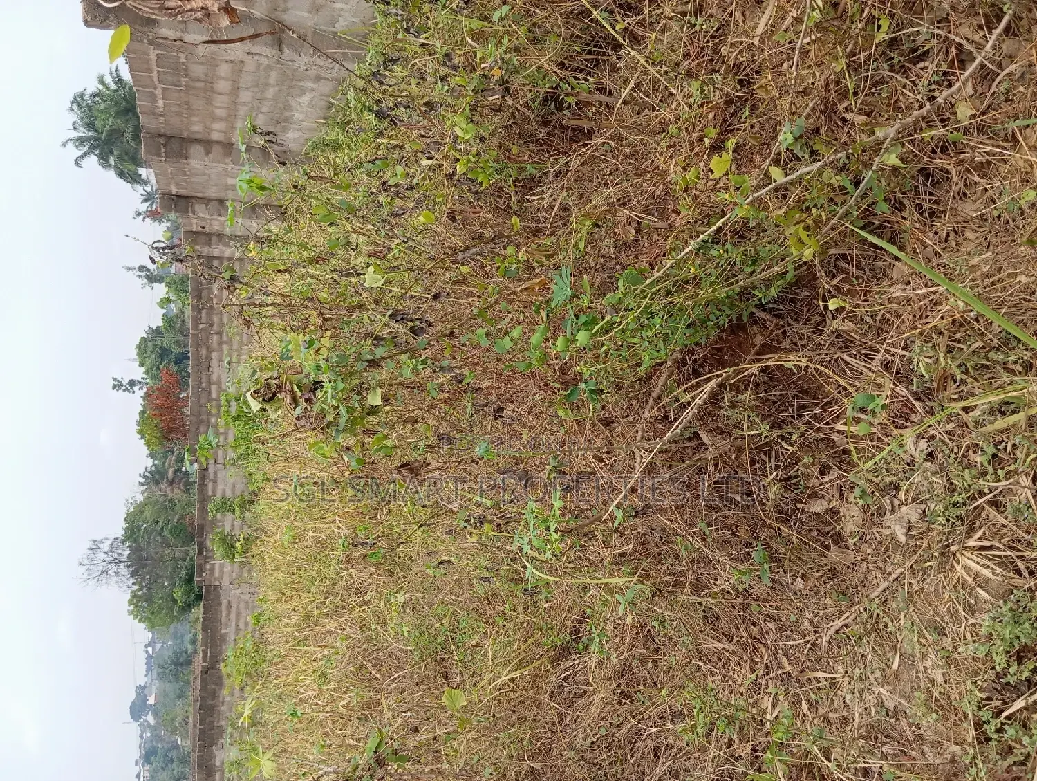 1 Plot of Land at Back of City Land Mark Hotel in Awka
