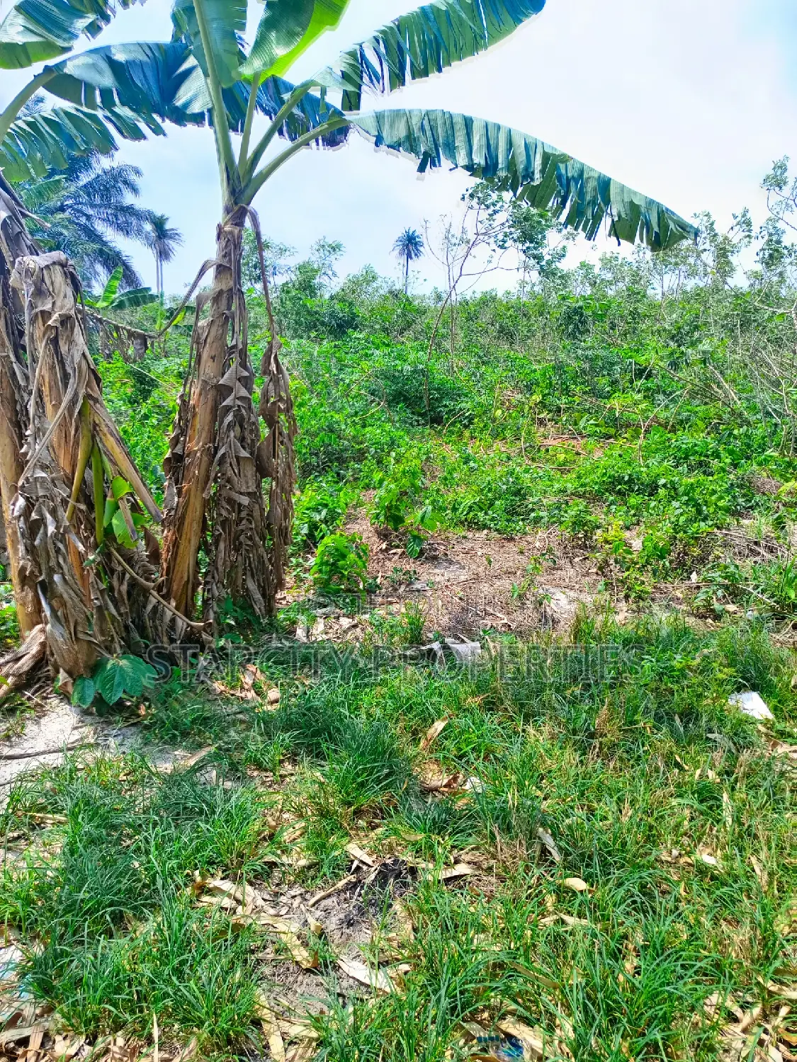 Plots of Land for Sale in Queen's Park Estate,Karshi, Abuja in Karshi