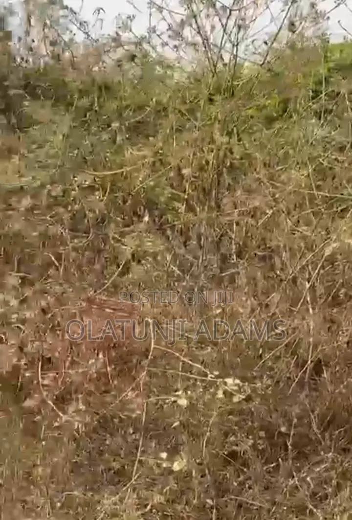 A Plot of Land at Papanla After Alatorin Area in Osogbo