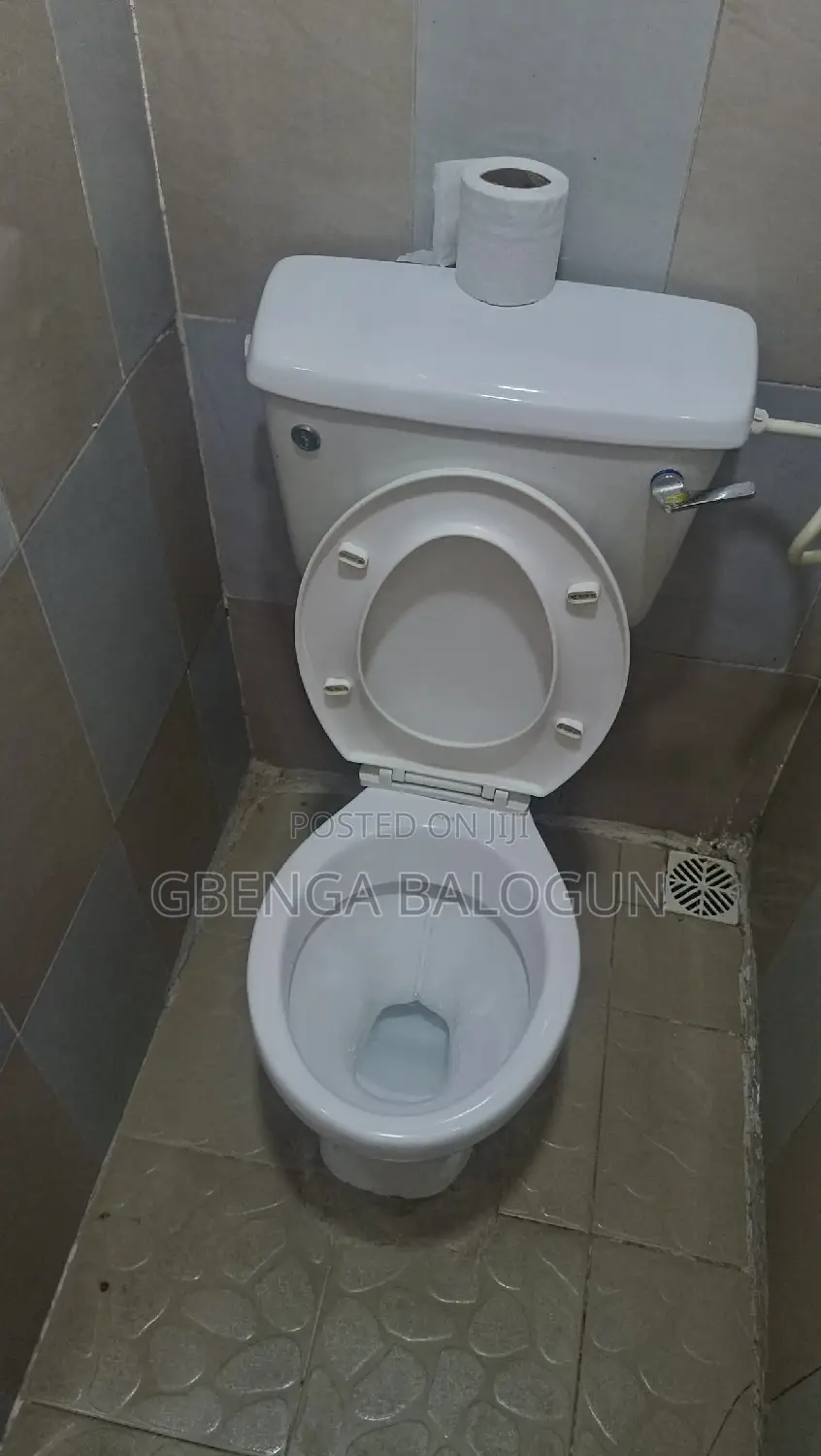 3 Bedrooms Shared Apartment in Omole Phase 2