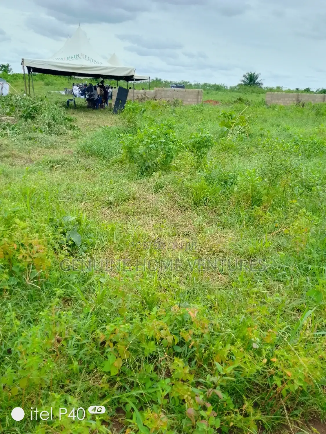 Dry Land in Ogwashi-Ukwu Aniocha South in Aniocha South