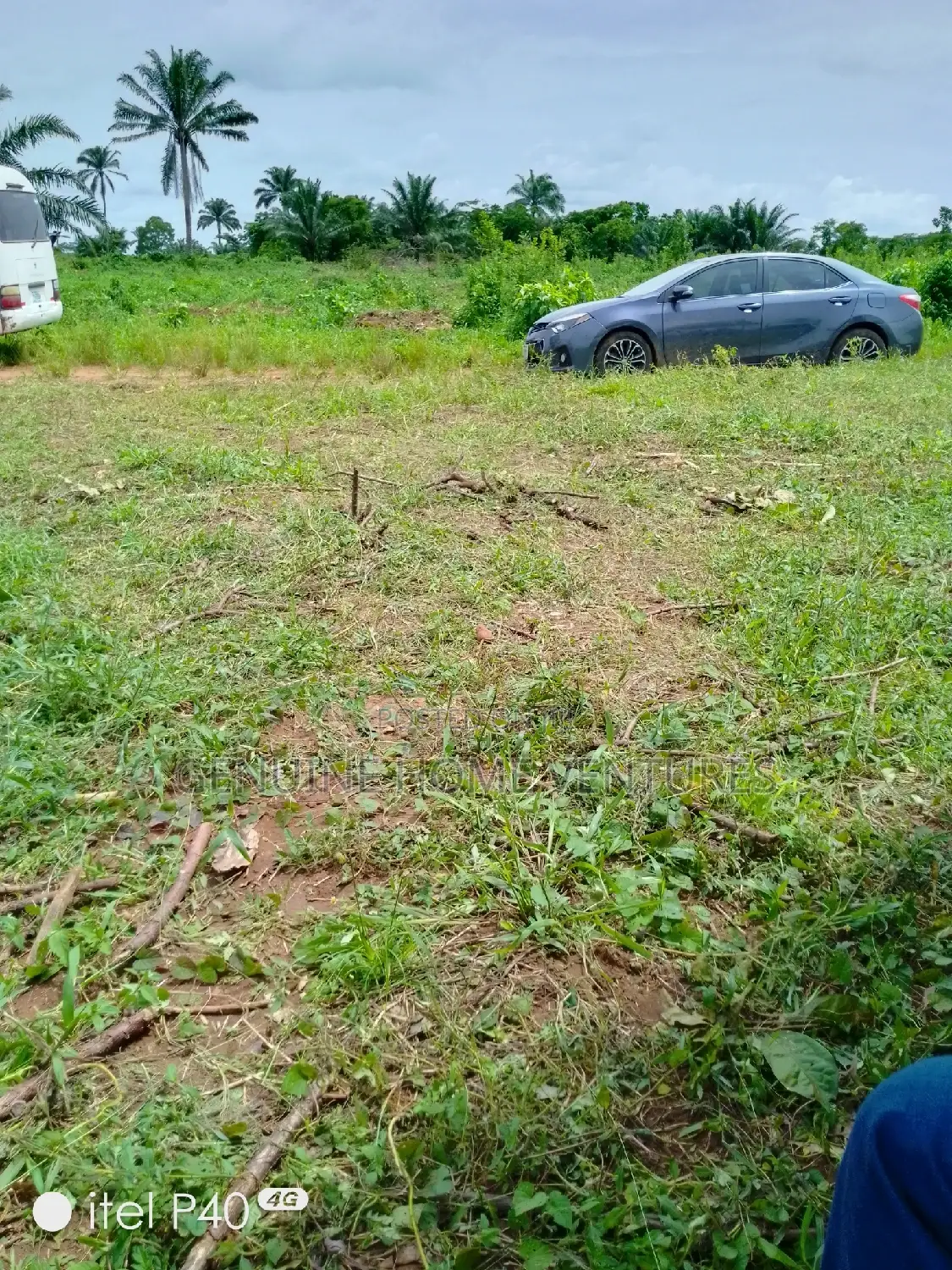 Dry Land in Ogwashi-Ukwu Aniocha South in Aniocha South