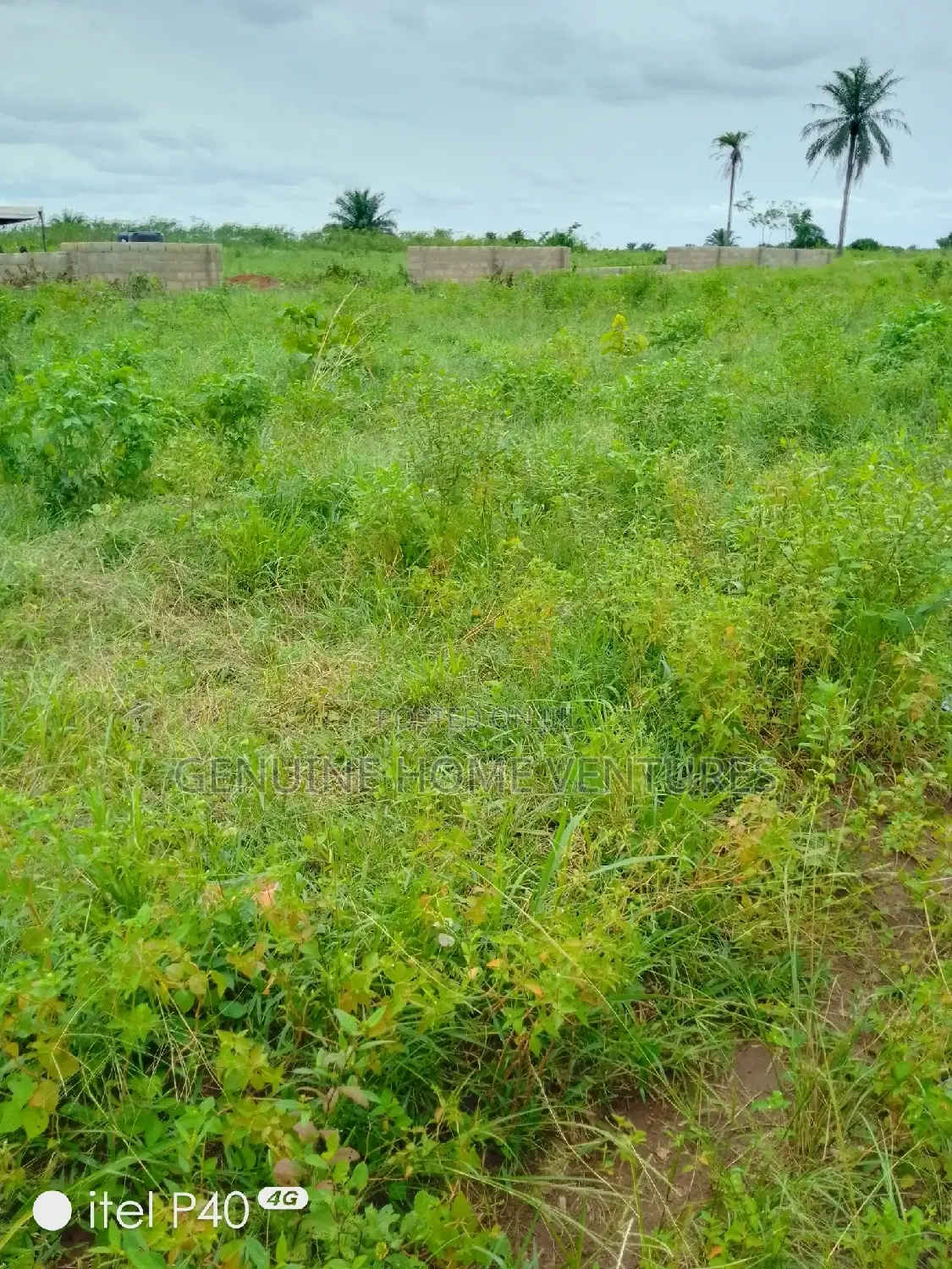 Dry Land in Ogwashi-Ukwu Aniocha South in Aniocha South