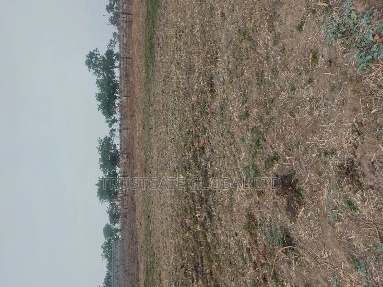 Plots for Sale at Broadview Estate Idu in Idu Industrial