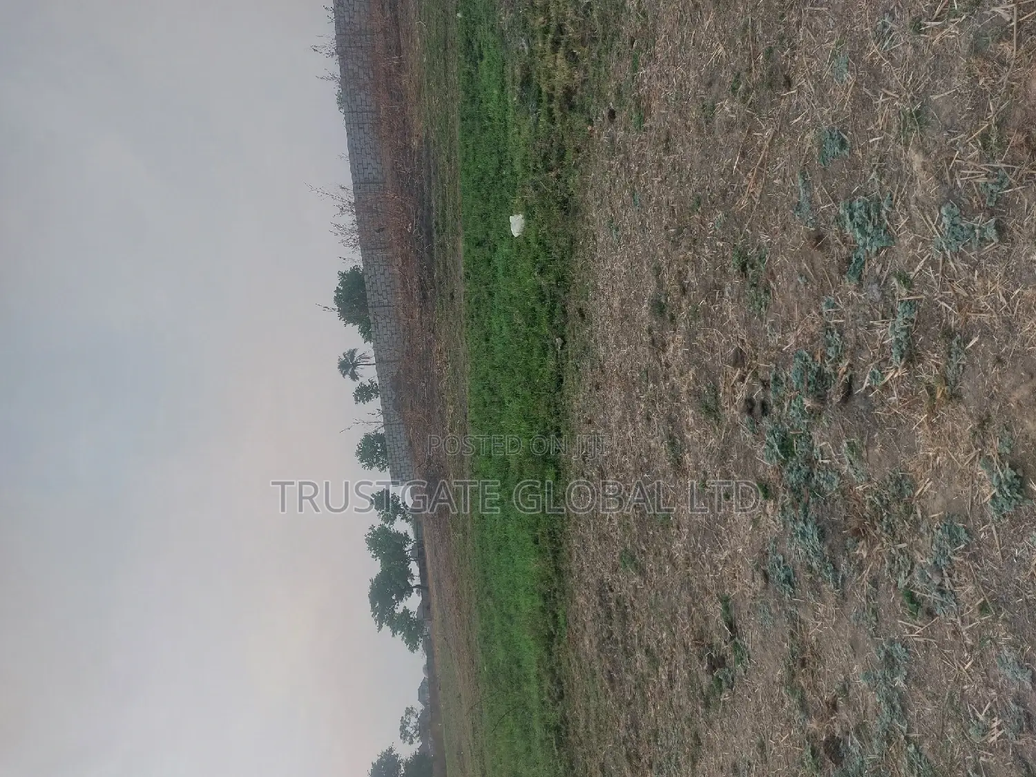 Plots for Sale at Broadview Estate Idu in Idu Industrial