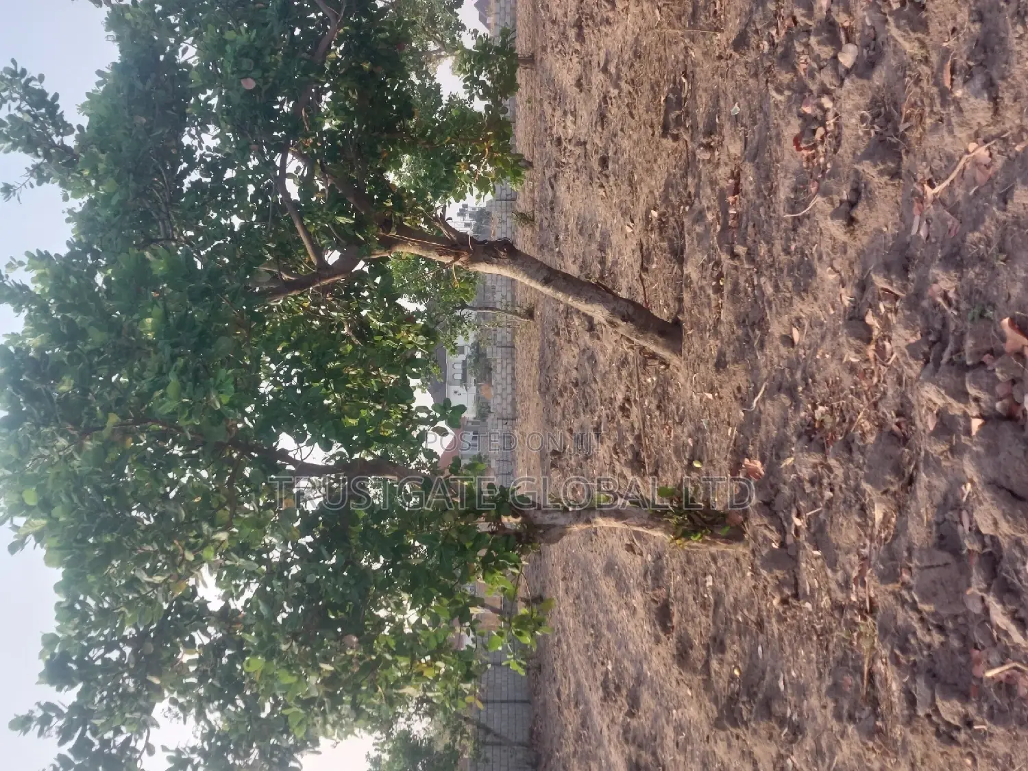 Plots for Sale at Broadview Estate Idu Industrial in Idu Industrial