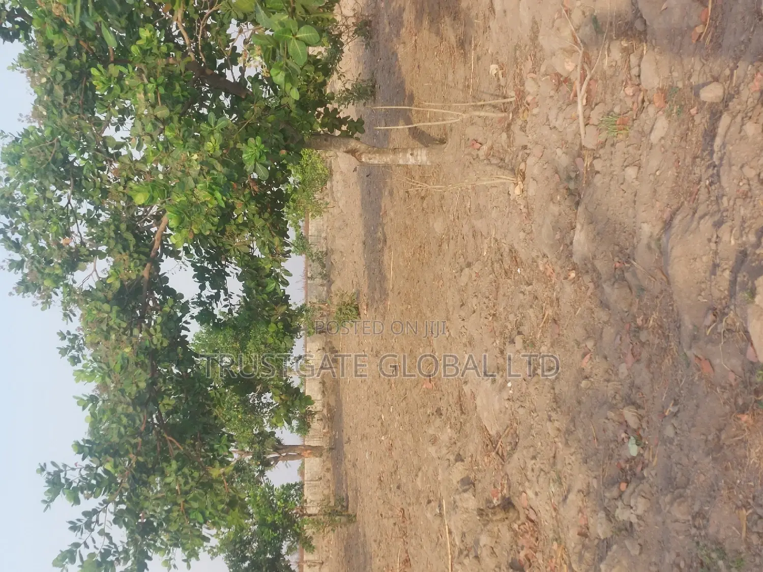 Plots for Sale at Broadview Estate Idu Industrial in Idu Industrial