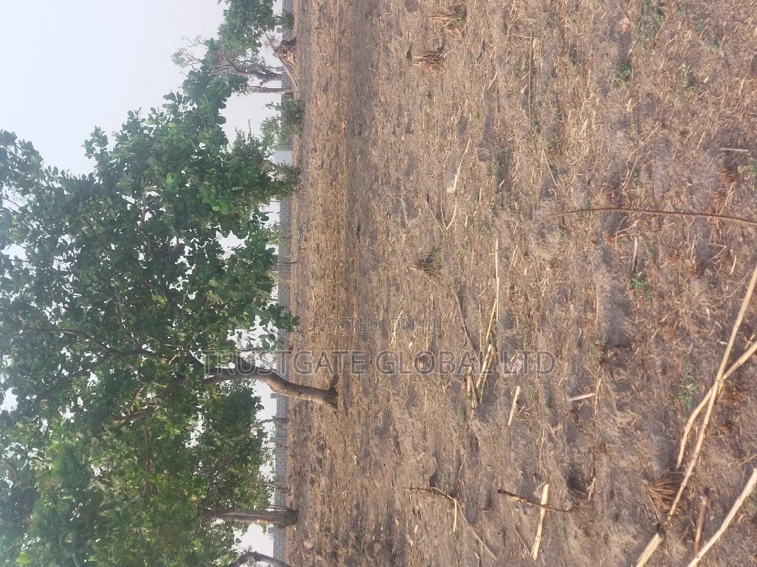 Plots for Sale at Broadview Estate Idu Industrial in Idu Industrial