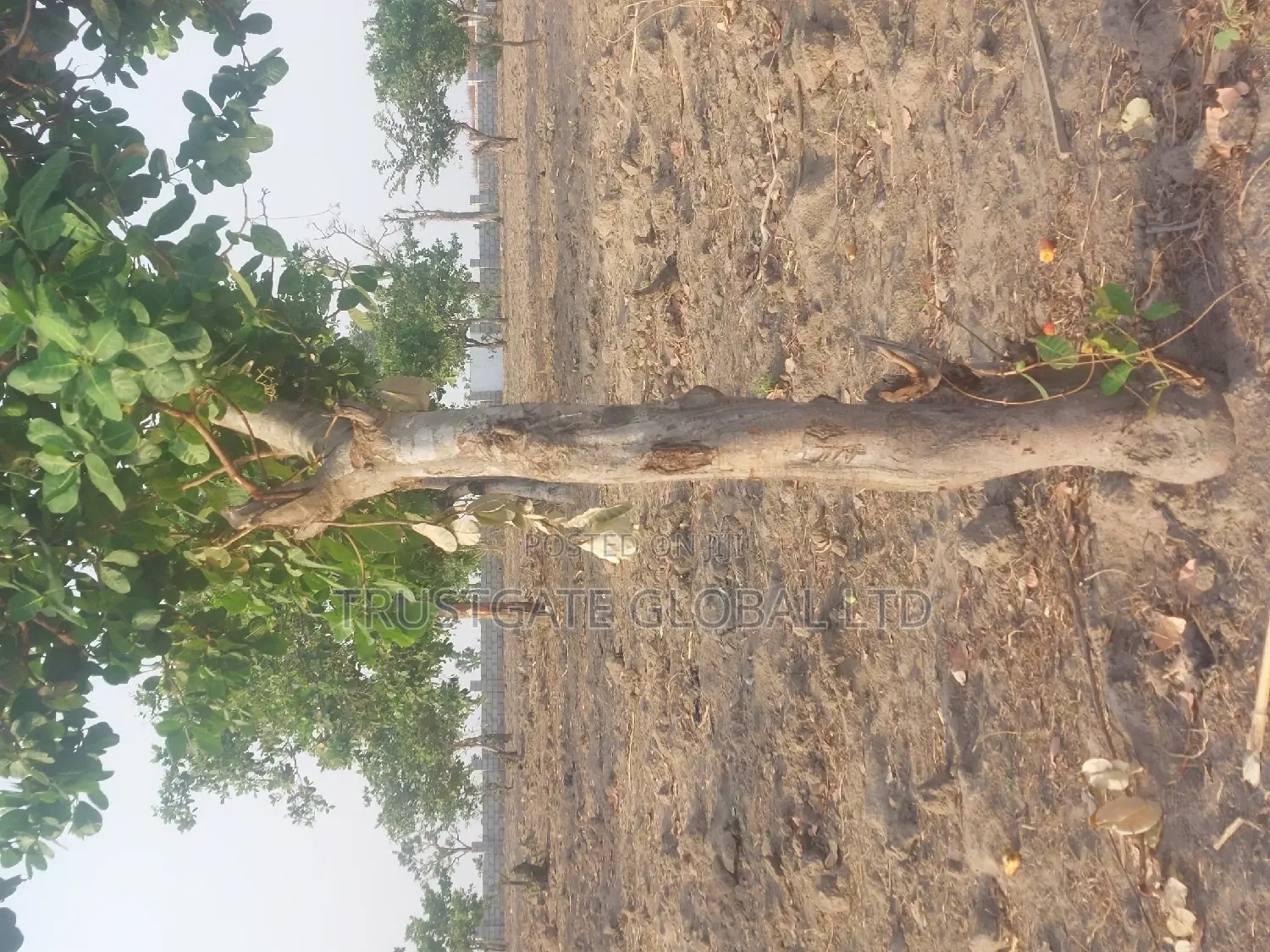 Plots for Sale at Broadview Estate Idu Industrial in Idu Industrial