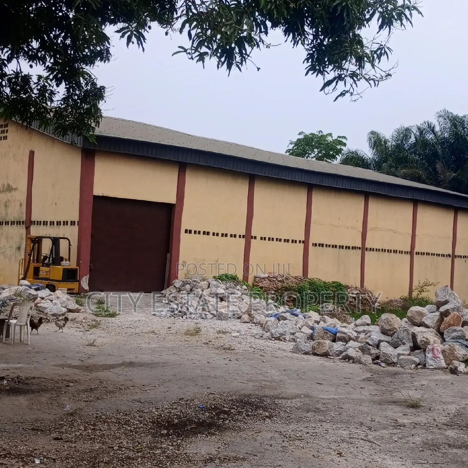 Warwhou for Sale in Portharcourt in Port-Harcourt