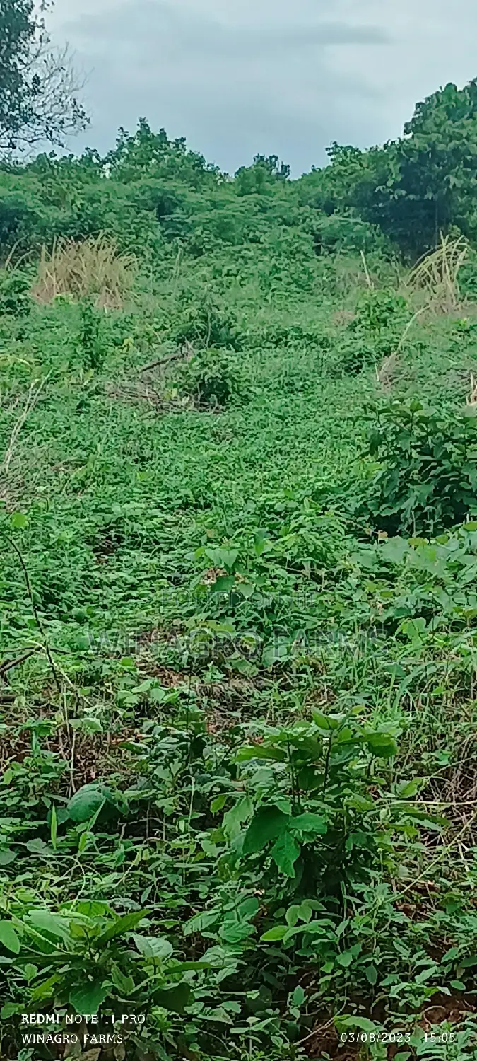 Sweet 20 Acres Farm Land in Abeokuta South