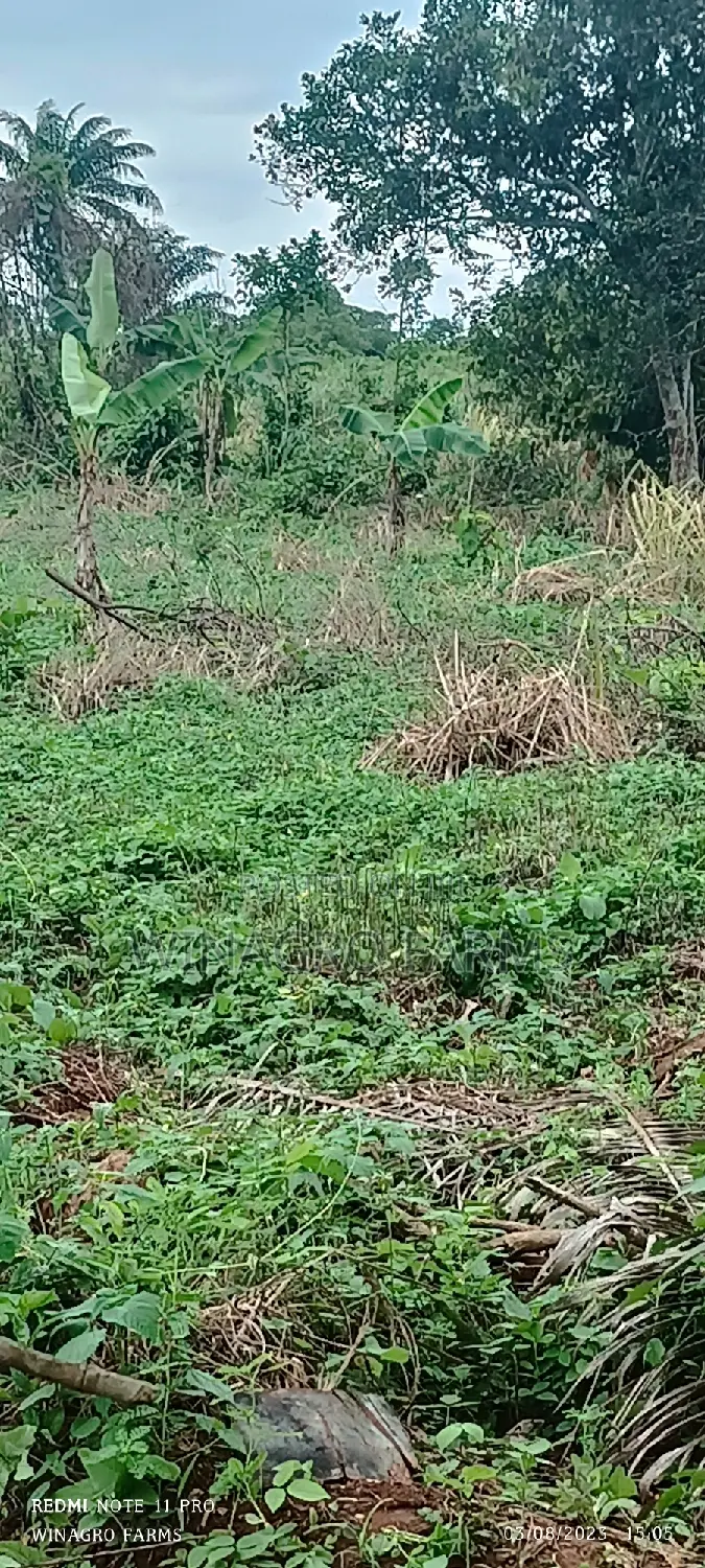 Sweet 20 Acres Farm Land in Abeokuta South