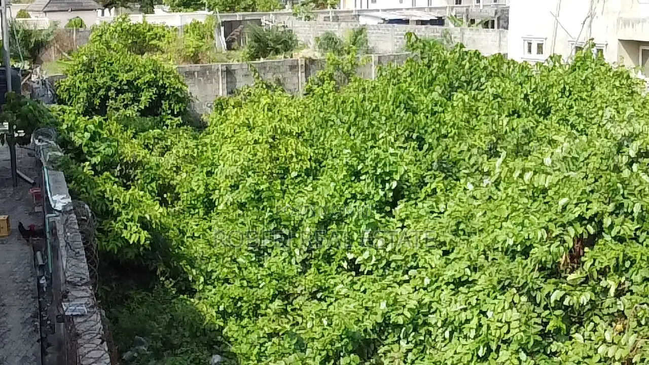 Prime Location! Build Your Dream Home in a Thriving Area in Awoyaya