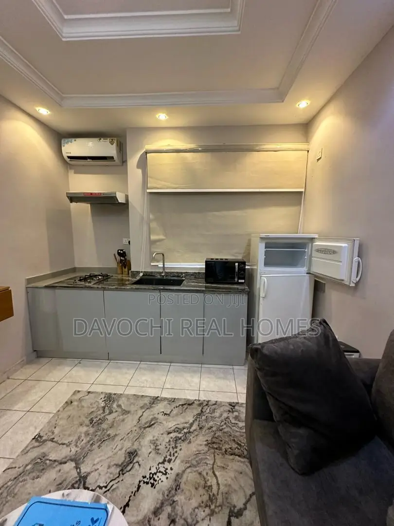 Furnished 1bdrm Apartment in Lekki Phase One for rent in Lekki