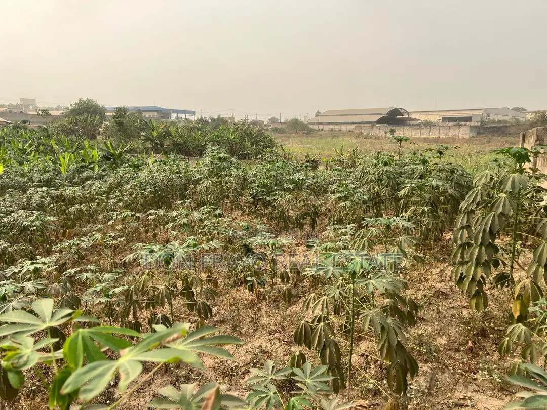 2 Acres Industrial Land on Ibadan / Lagos Expressway in Ibadan