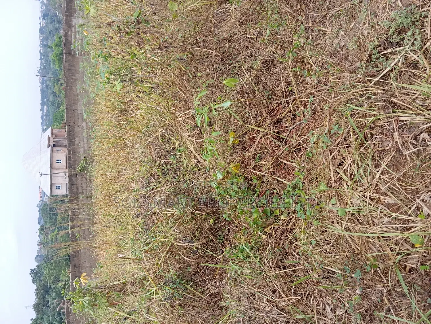About 1000 SQM Plot of Land for Sale in Awka