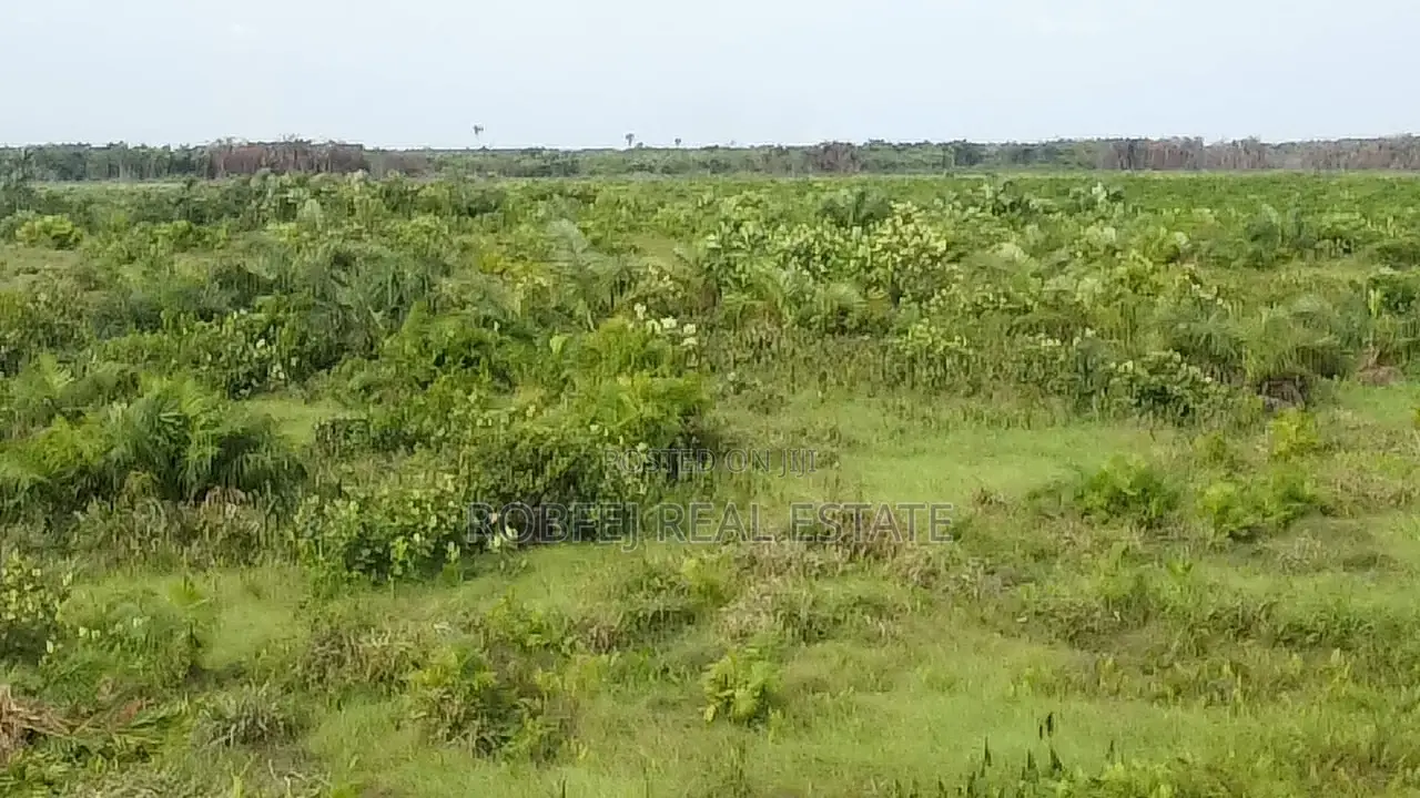 Embrace the Coastal Lifestyle in Awoyaya