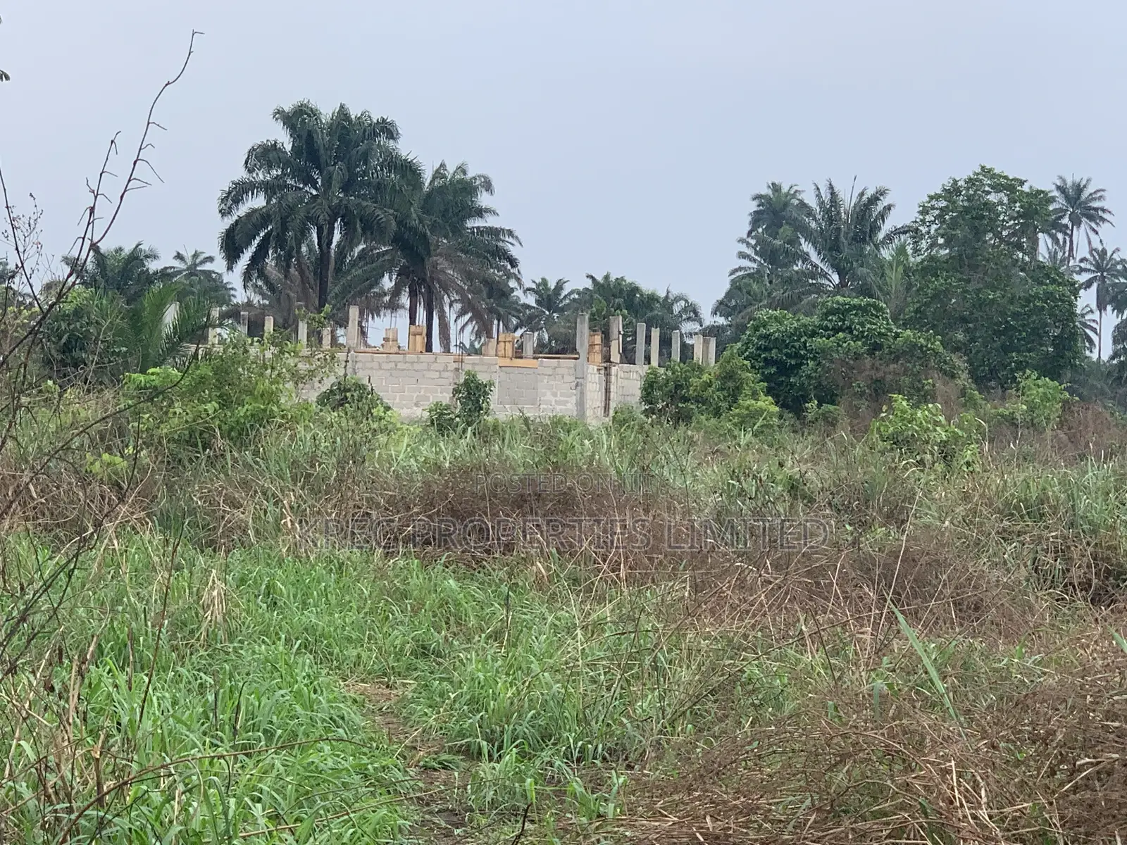 Buy and Build Land on Airport Express Ipo1 in Ikwerre