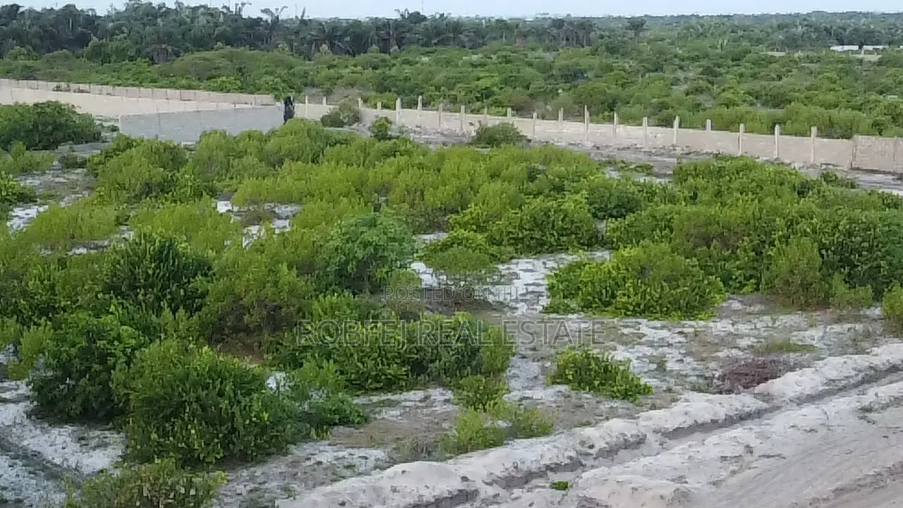 Unveiling Paradise in Sangotedo