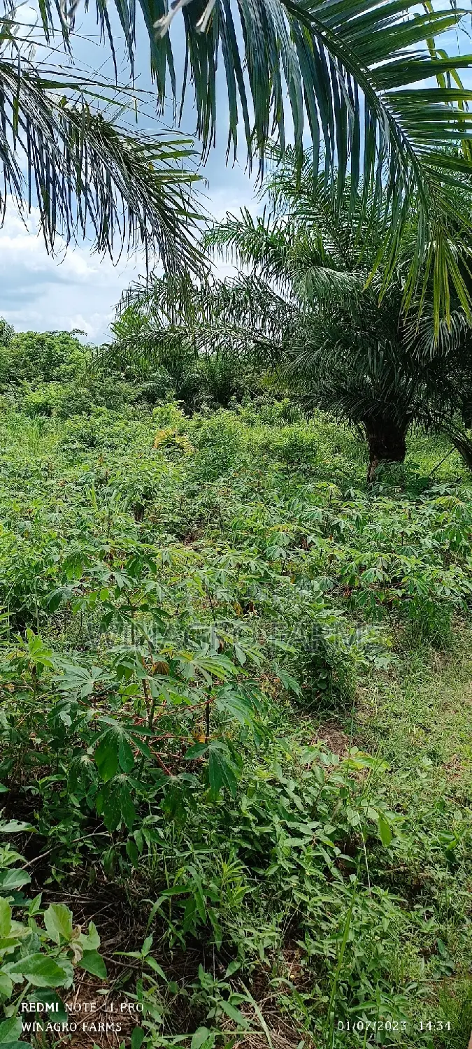 For Sale;Acres of Farm Land in Abeokuta North in Abeokuta South
