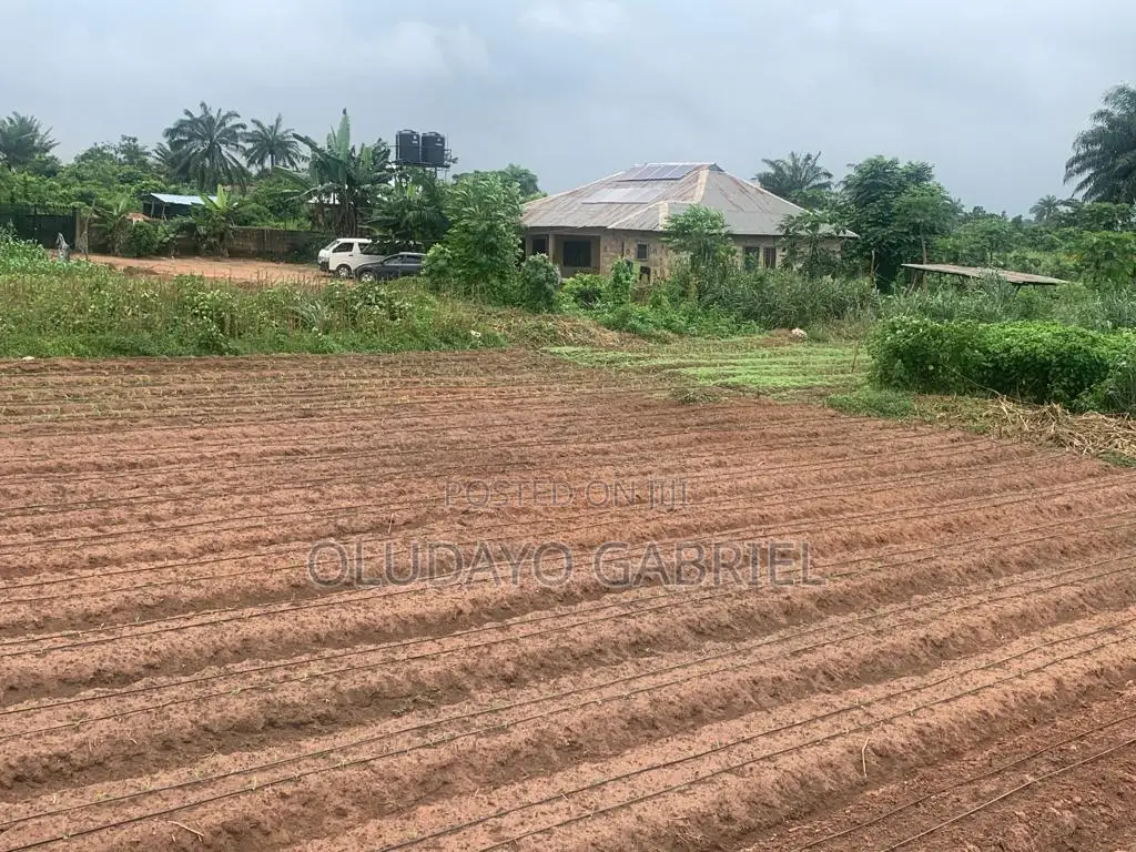 Farm for Sale in Sagamu