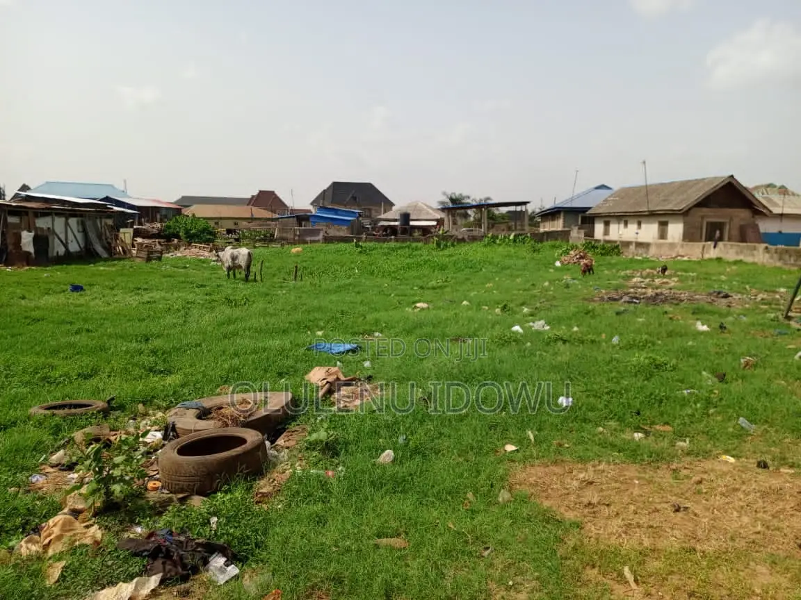 Receipt And Survey Plan in Alimosho