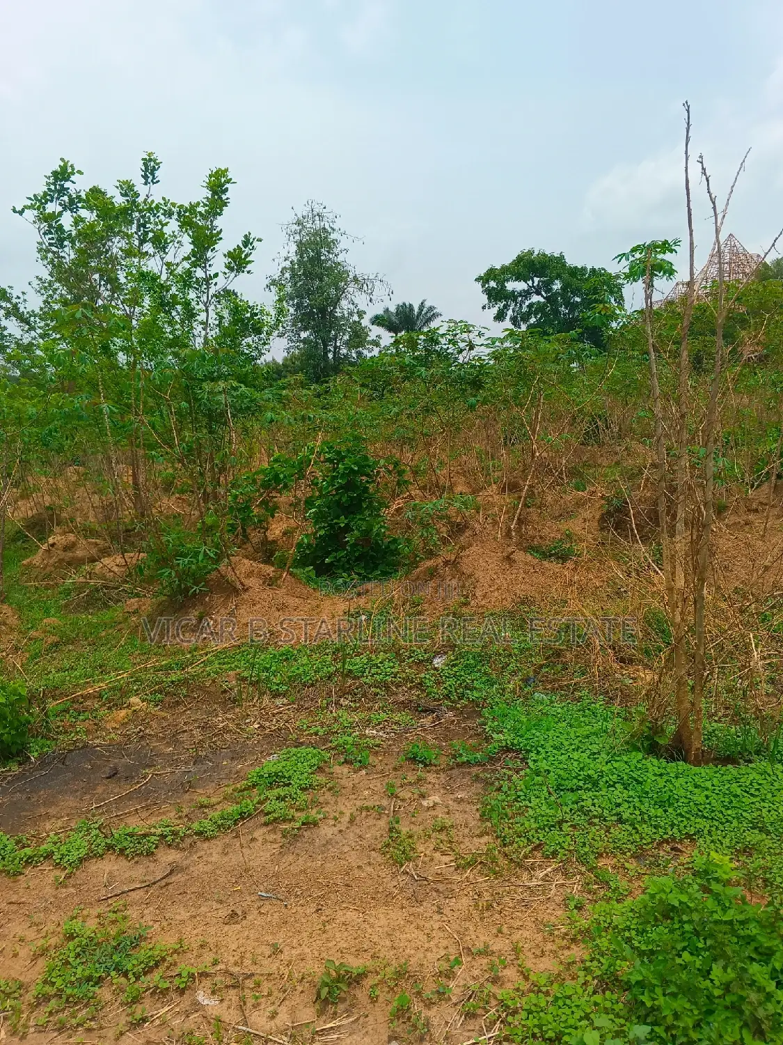 4 Plos of Land for Sale at Nkwoagu Abakaliki Ebonyi State in Abakaliki