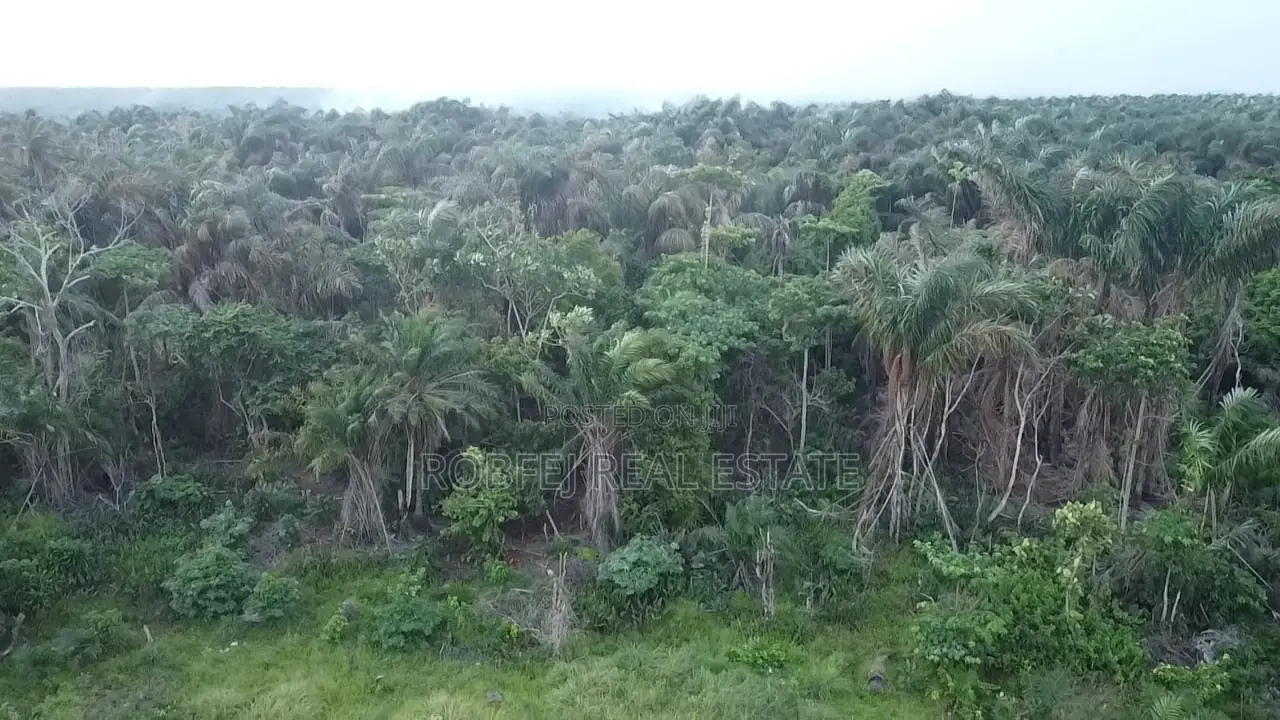 Prime 2 Acres Wet Land Opportunity in Sangotedo