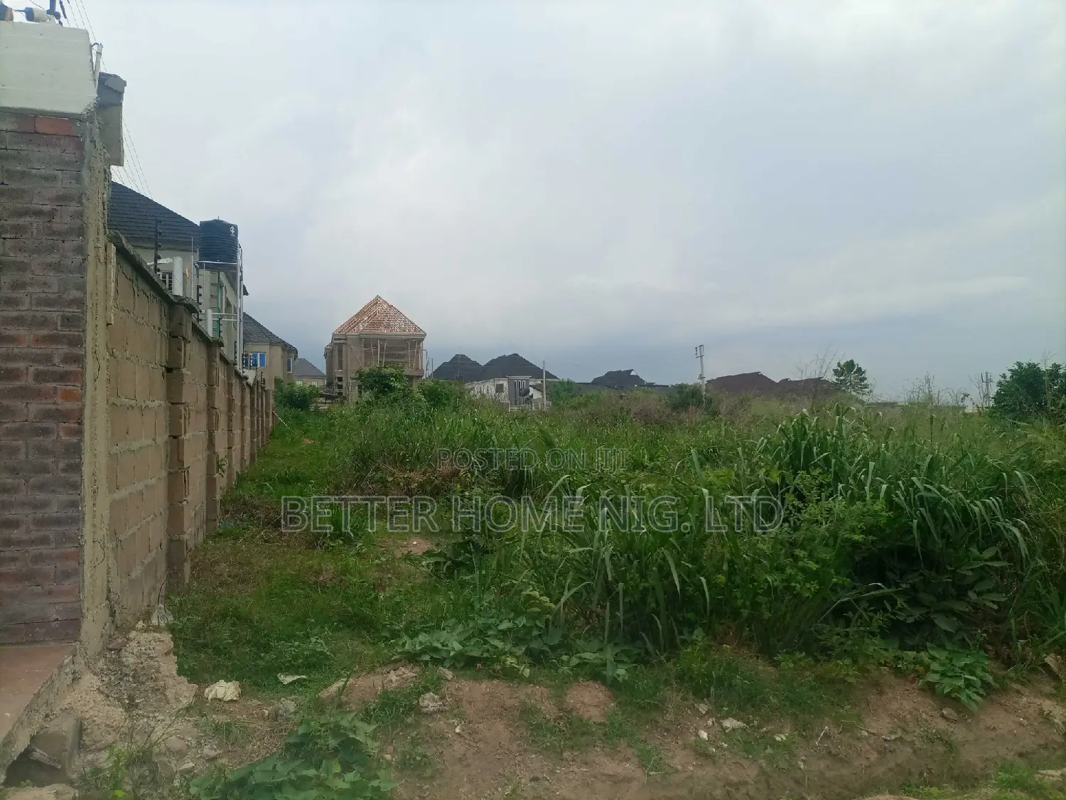 Survey and Agreement in Ido
