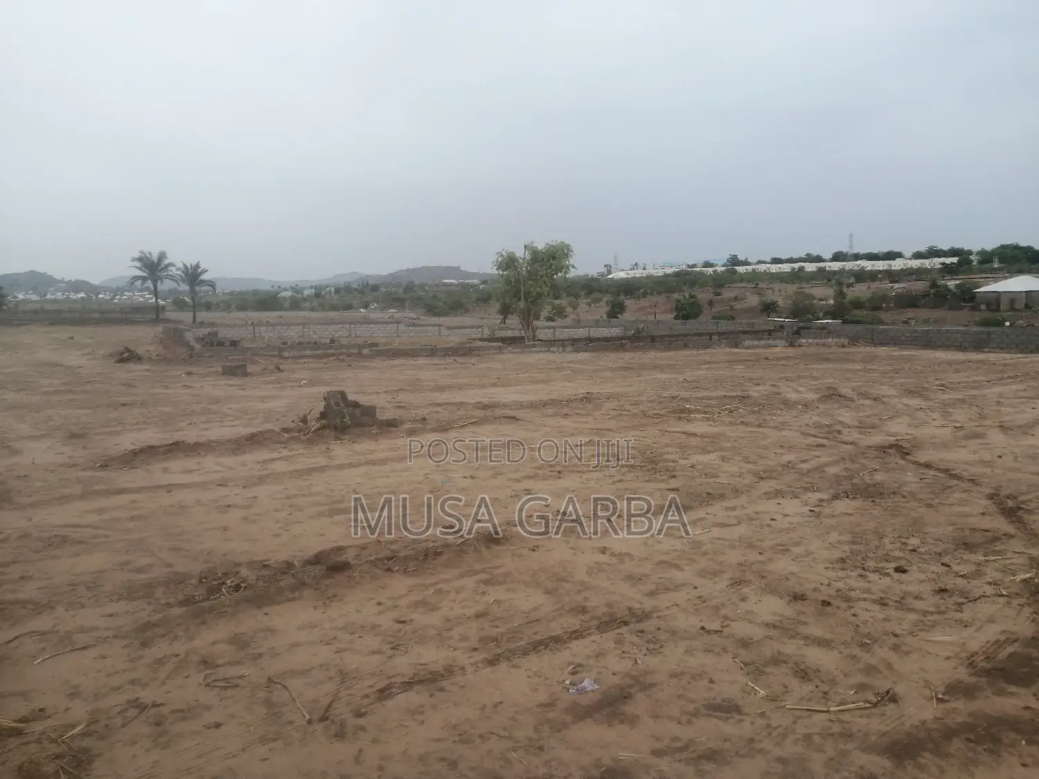 Radiant Fields: Grow Your Future Here in Kuje